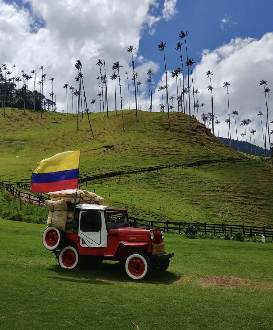 Vallée de Cocora Colombie, jeep et palmiers de cire