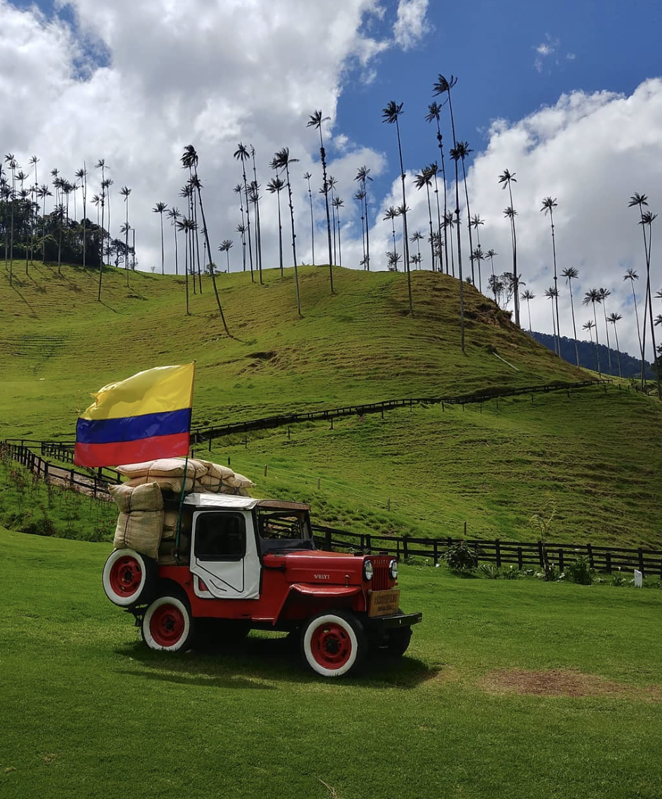 Vallée de Cocora Colombie, jeep et palmiers de cire